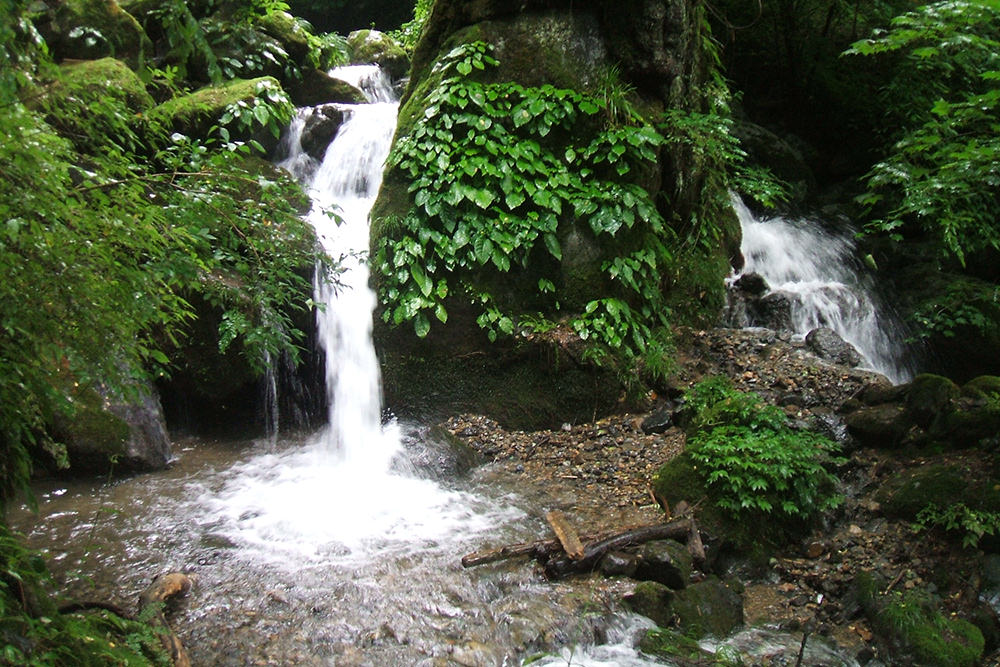 荒川源流（入川上流）