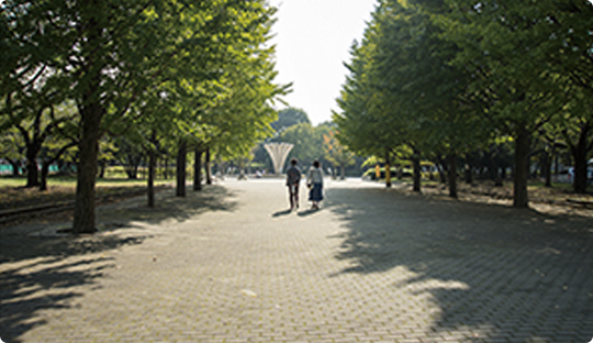 赤塚公園